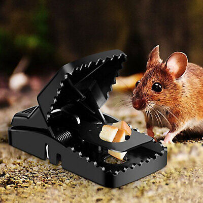 Smart Mouse Trap – Safe & Effective Pest Control